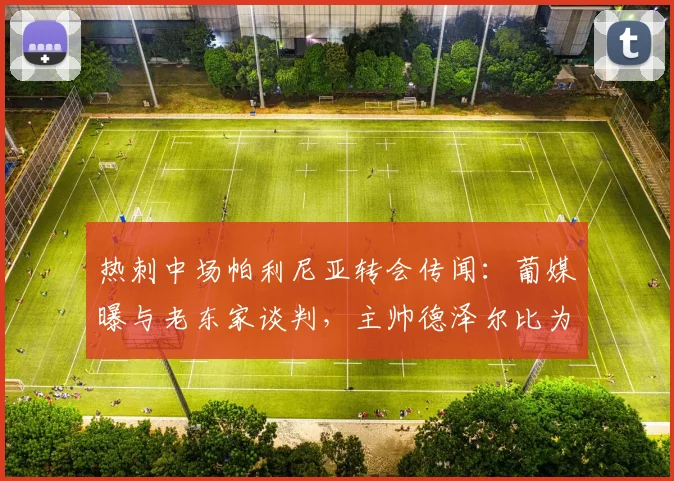 热刺中场帕利尼亚转会传闻：葡媒曝与老东家谈判，主帅德泽尔比为何力主留人？
